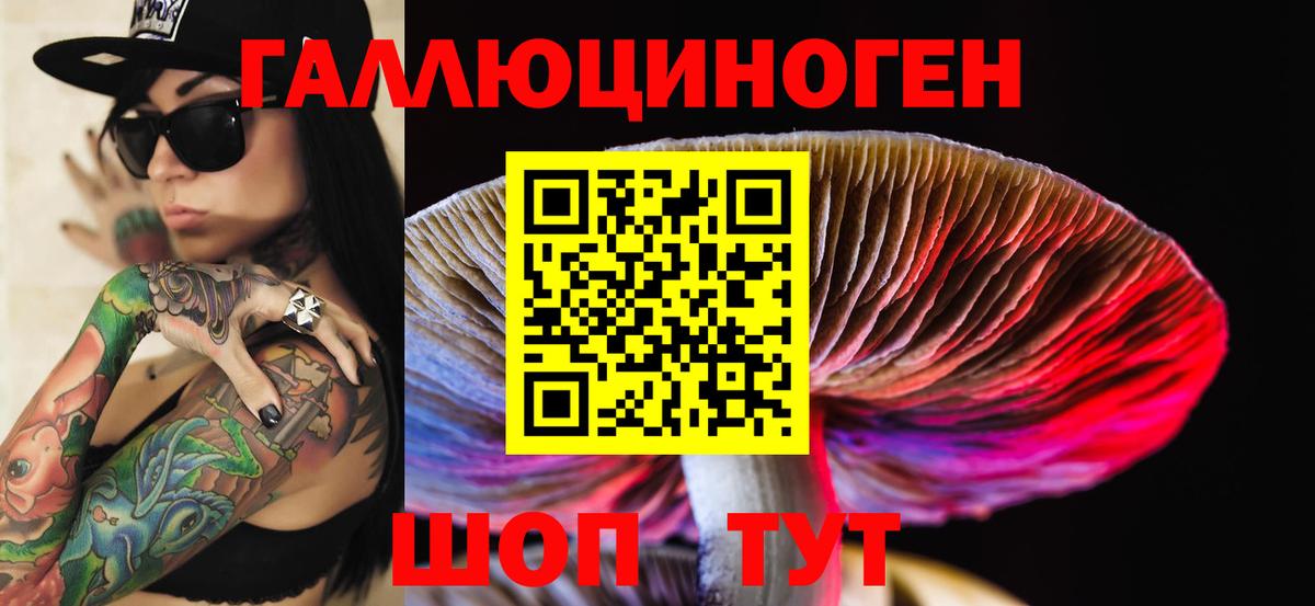 Похвистнево  Псилоцибиновые грибы Psilocybe  Вход с VPN 
